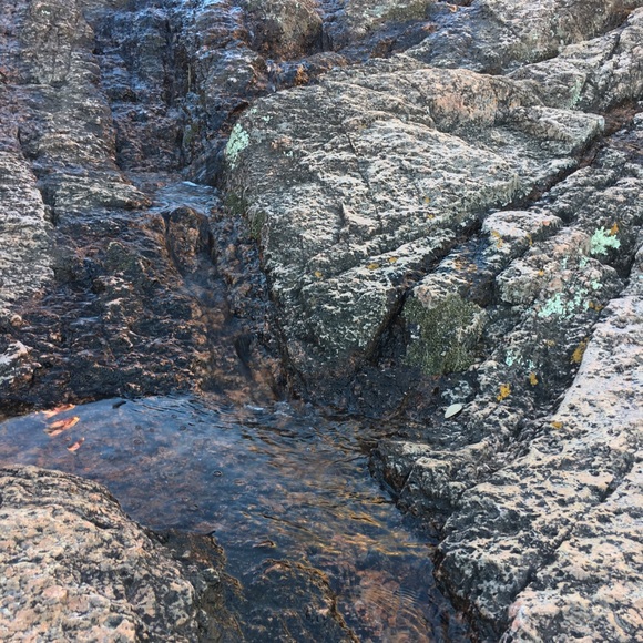 Meet your Posher, Daniel - Picture 1 of 1